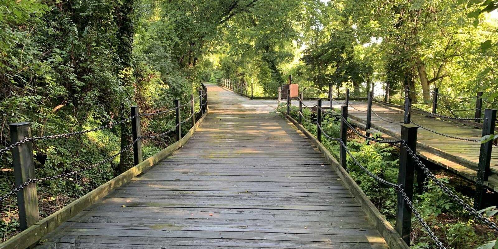 25+ Things to Do Near Fort Belvoir in Fairfax County, Springfield, and More!